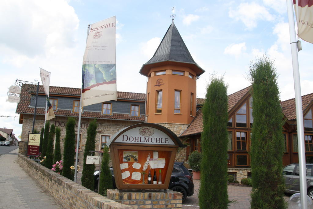 Dohlmuehle Hotel & Weingut Flonheim Εξωτερικό φωτογραφία