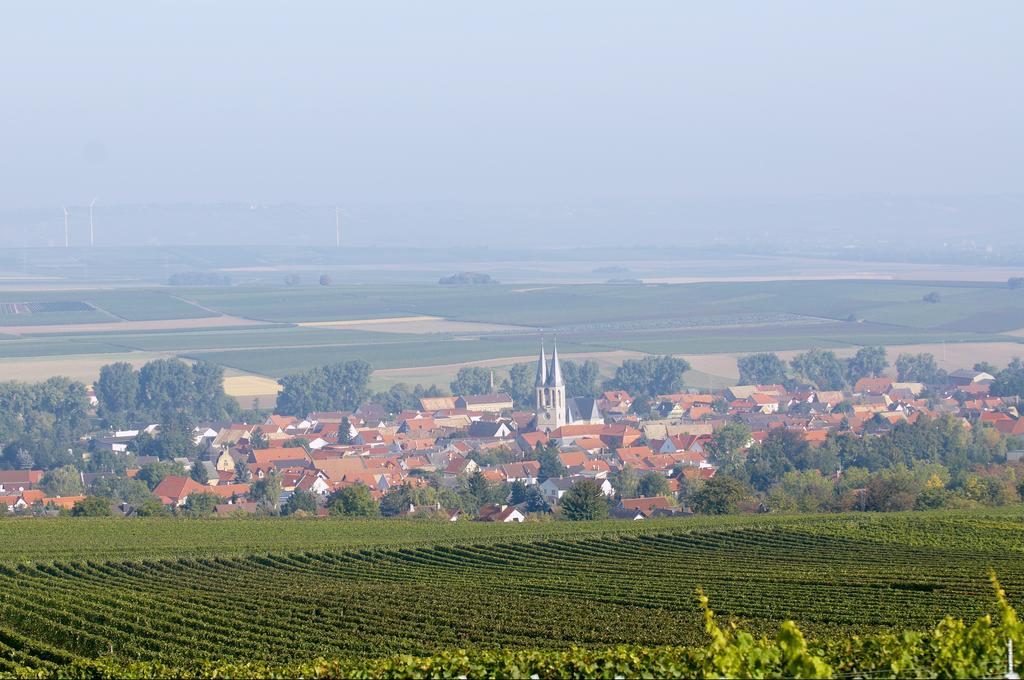 Dohlmuehle Hotel & Weingut Flonheim Εξωτερικό φωτογραφία