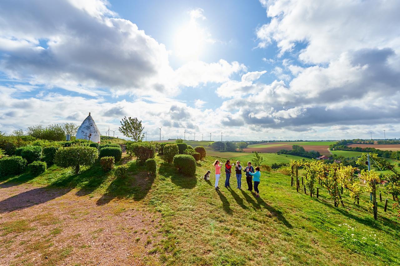 Dohlmuehle Hotel & Weingut Flonheim Εξωτερικό φωτογραφία