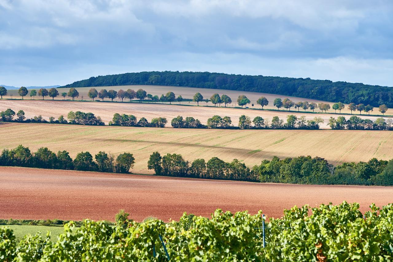 Dohlmuehle Hotel & Weingut Flonheim Εξωτερικό φωτογραφία